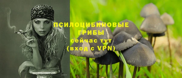 гашишное масло Магас