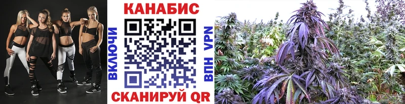 Купить закладки  Новоаннинский  Конопля ГИДРОПОН 